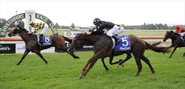 Coffee Hit - Hawkesbury - 26/02/2015